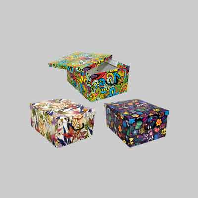 CONTENITORE MULTIUSO 'BIG BOX FANTASY' cm 50x39x24,5h. Prezzo per Pezzo.